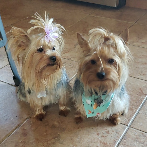 Meet your Posher, Michelle - Picture 1 of 1